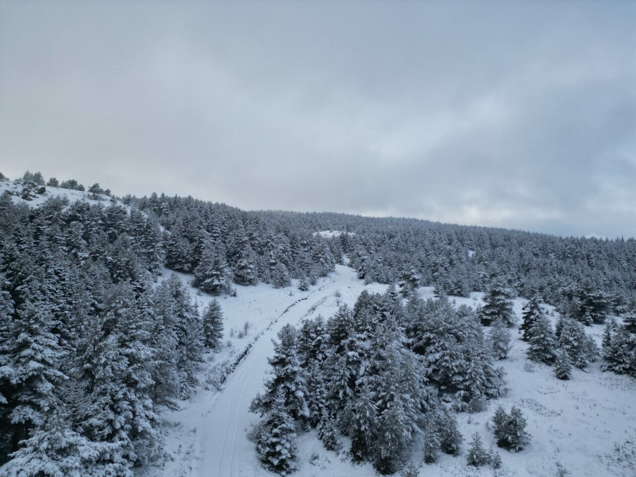 Çankırı’da karla kaplı çam ormanları drone ile görüntülendi