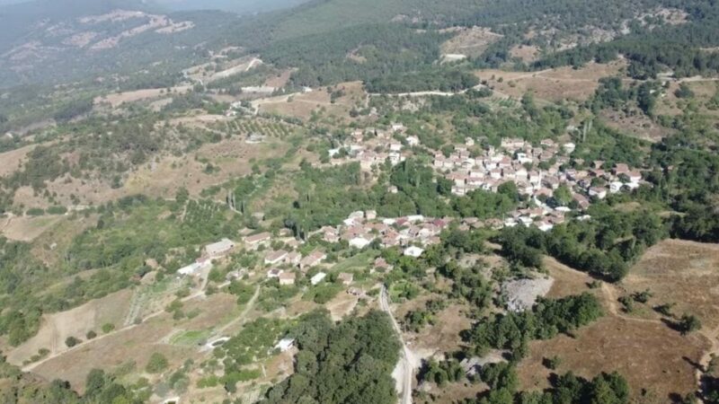 Bursa’da köylünün büyük zaferi Olay Gazetesi Yazarı İhsan Aydın, Orhaneli ilçesine bağlı kırsal Dağgüney
