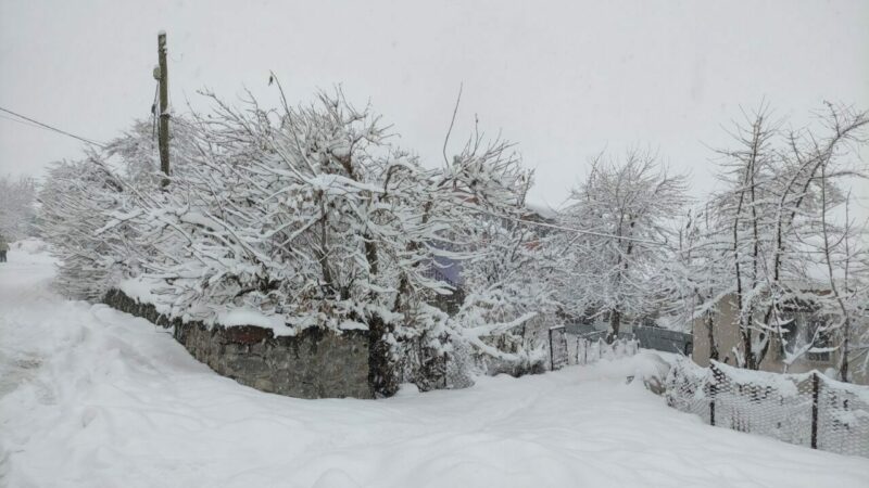 Doğu'da soğuk ve yağışlı hava hayatı olumsuz etkiledi. 7 ilde