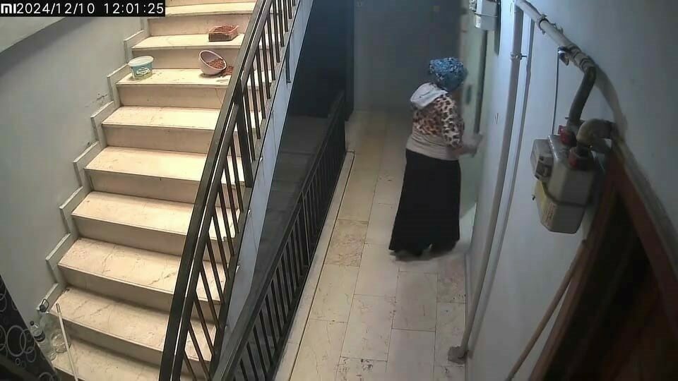 Bursa’da hırsıza köpek engeli Bursa’da hırsıza köpek engeli