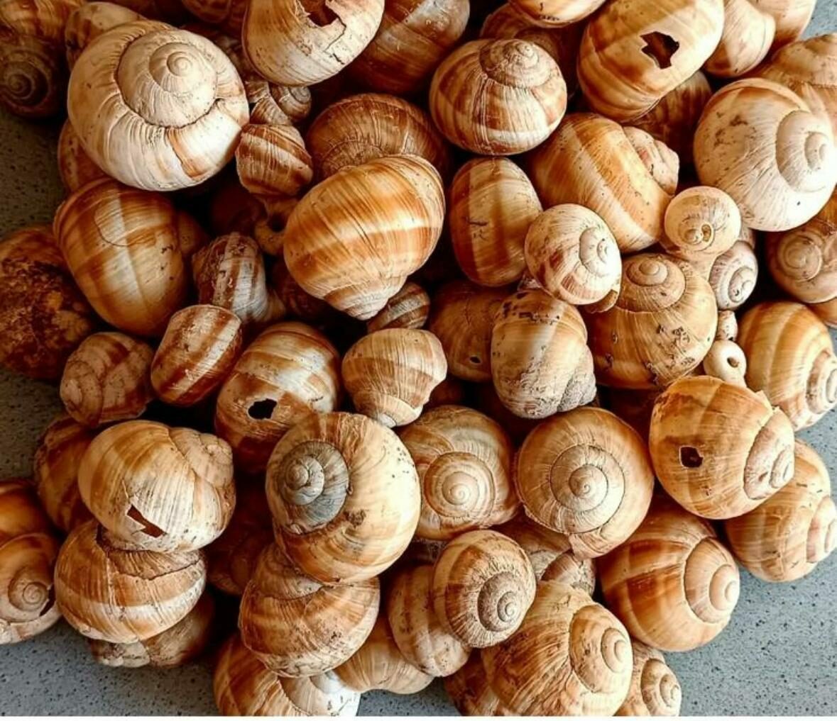 Kütahya’da bulundu! Tam 4 bin yıllık…