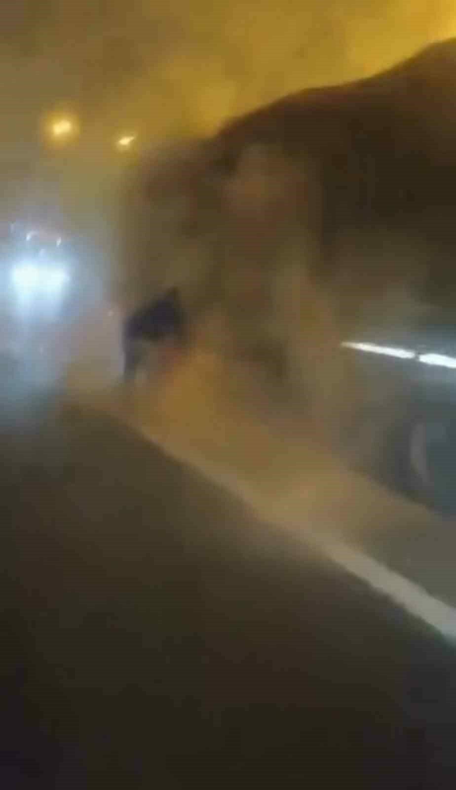 Bursa’da facianın eşiğinden dönüldü!