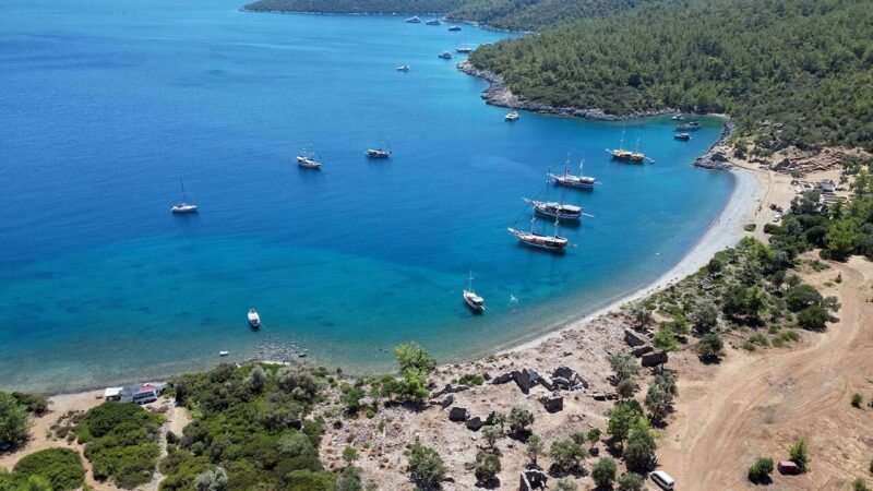 Ruslar 2024’te en çok Türkiye’ye seyahat etti Rusya Seyahat Endüstrisi Birliği Başkan Yardımcısı Dmitriy Gorin, bu yıl