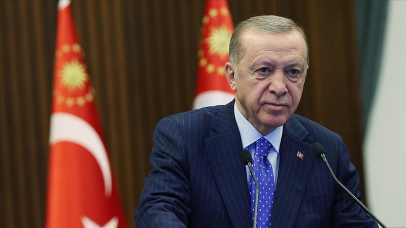Cumhurbaşkanı Recep Tayyip Erdoğan, "İnsan hakları savunucusu olduklarını öne sürenlerin,