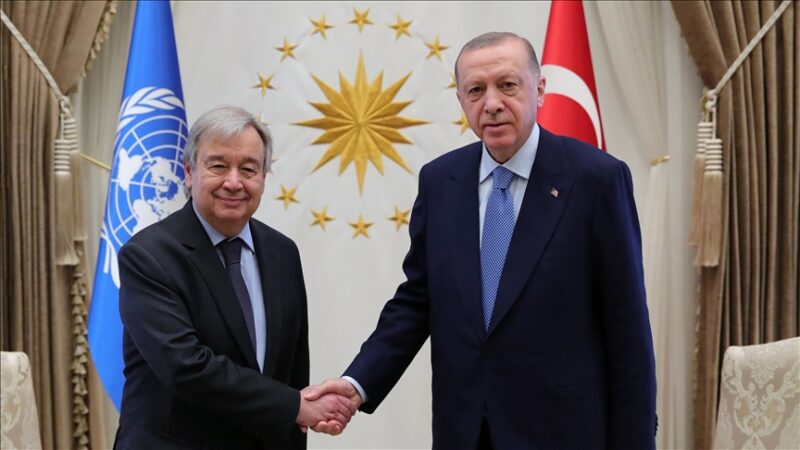 Cumhurbaşkanı Recep Tayyip Erdoğan, Birleşmiş Milletler (BM) Genel Sekreteri Antonio