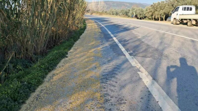 Bursa’da yolda görenler hayrete düştü! Bursa’nın İznik ilçesinde kamyonun kasasındaki çuvallardan dökülen soya fasulyeleri, kilometrelerce