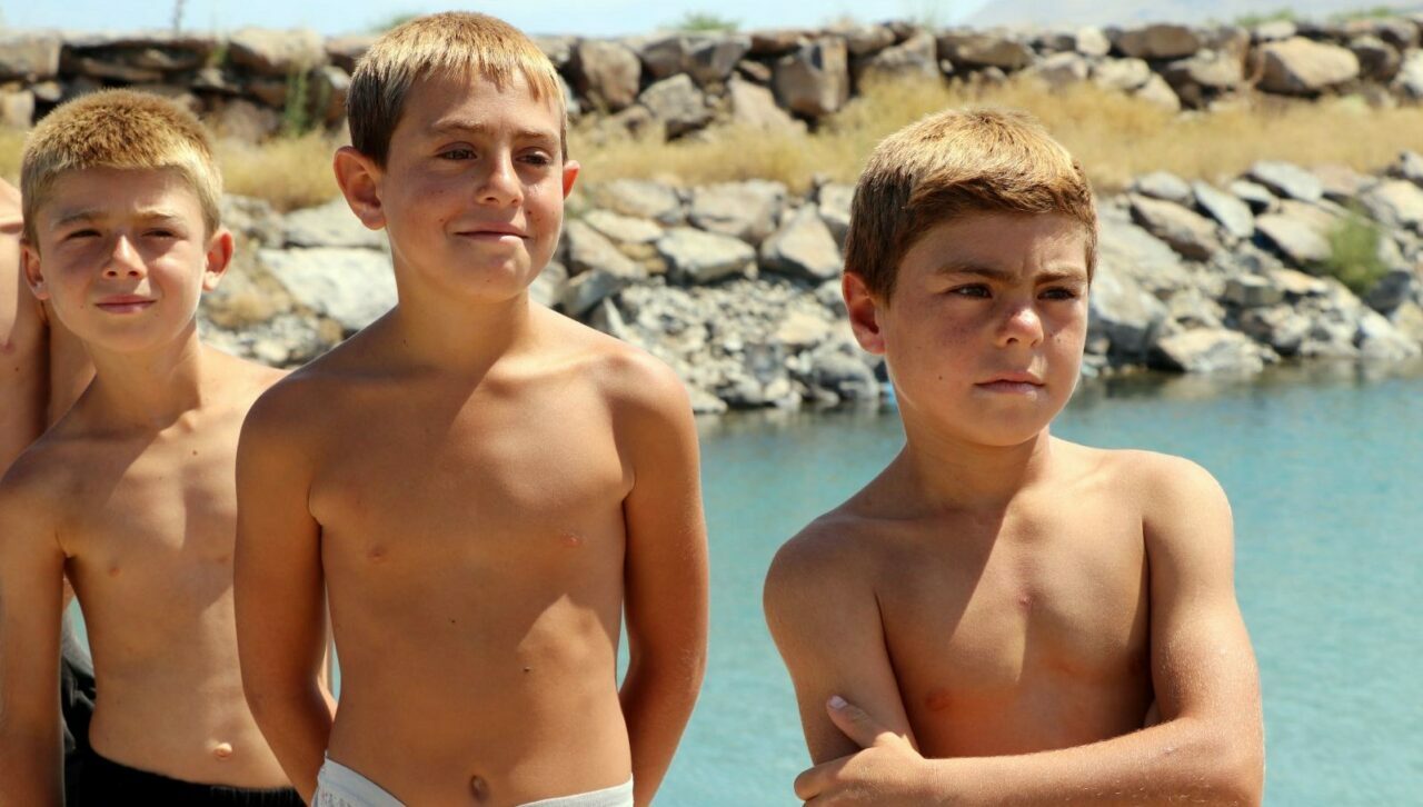 Van Gölü’ne giren sarışın çıkıyordu: Normal hallerine döndüler