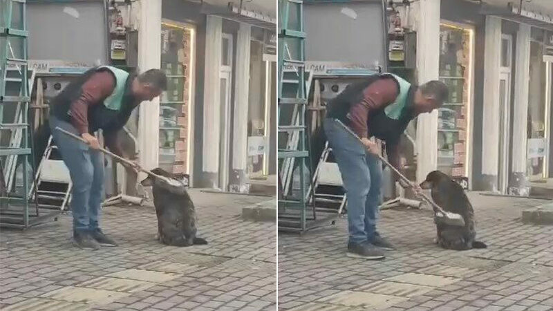 Bursa’da bir vatandaş elindeki fırçasıyla sokak köpeğini temizledi. Vatandaşın köpekle