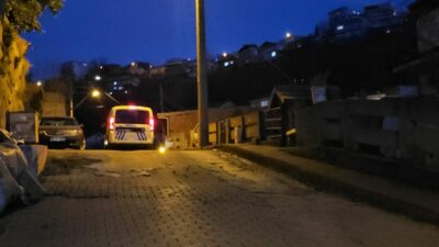 3,5 yaşındaki Efe’nin kahreden ölümü