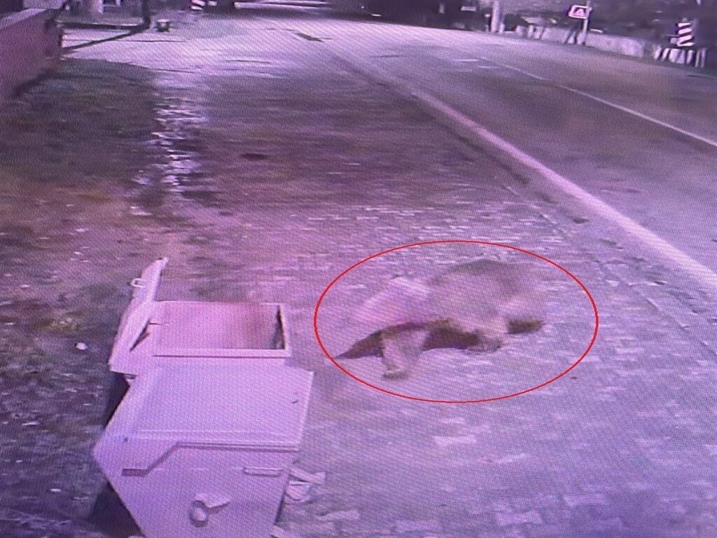 Bursalılar dışarı çıkamıyor! Camilerden anonslar yapıldı her yerde aranıyor