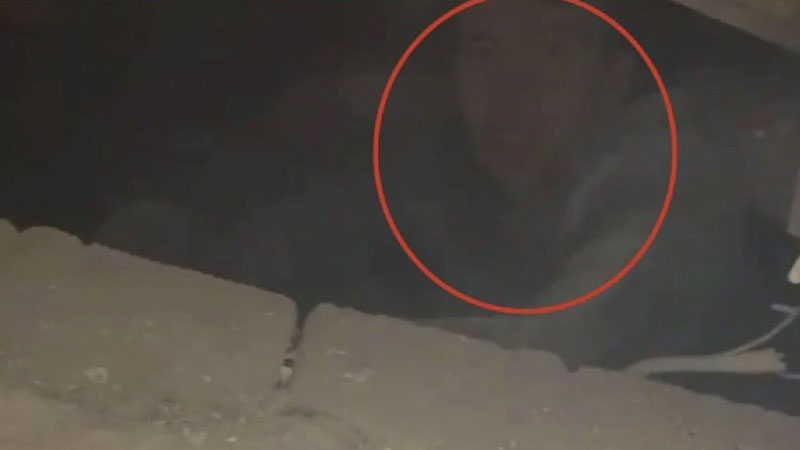 Enkaz altından saatler sonra kurtarıldı, o anlar kamerada!