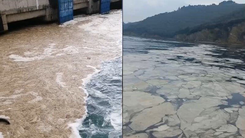 Bursa’da kâbus geri döndü! Bursa’da 2021 yılında sahilleri saran müsilaj, 4 yıl aradan sonra