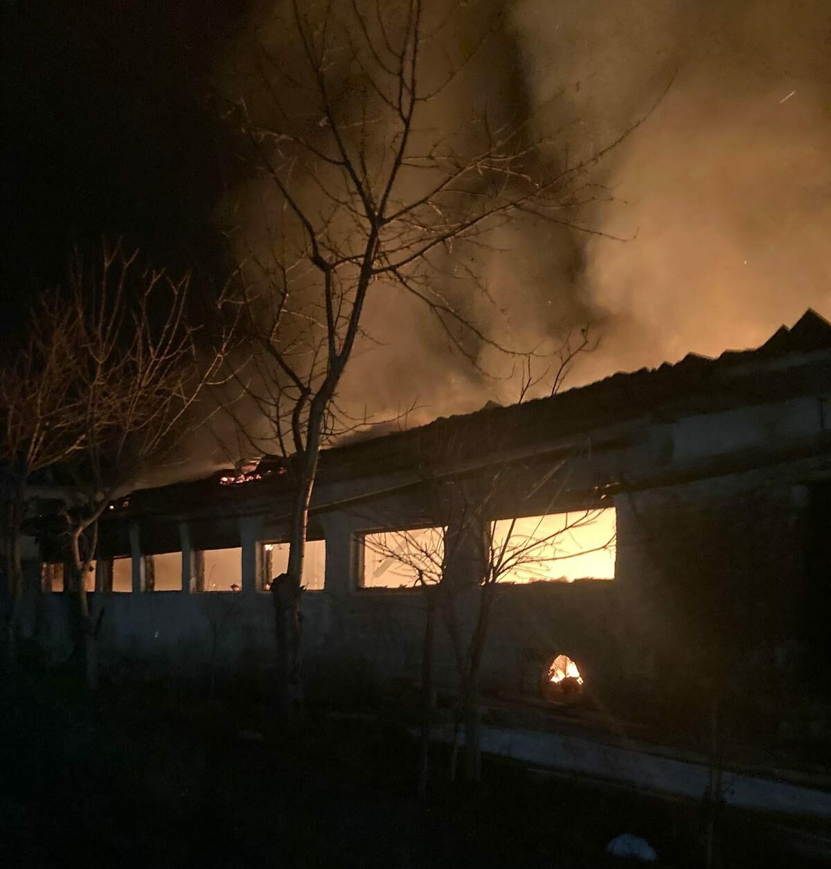 Bursa’da çiftlikte yangın Bursa’da çiftlikte yangın