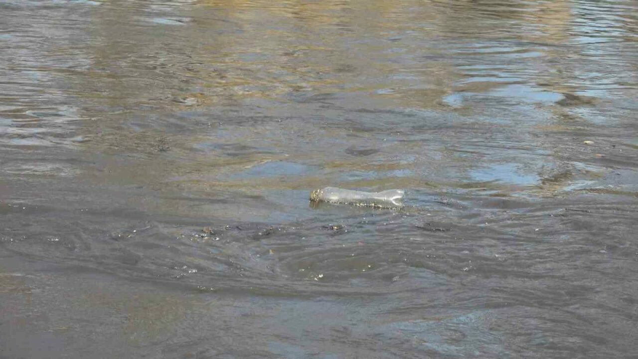 Bursa’nın zehir taşıyan çayı için kritik çağrı