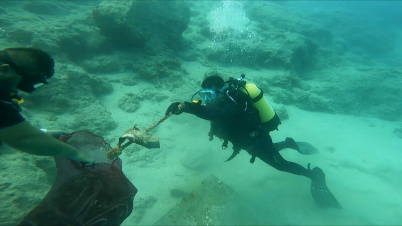 Çevre, Şehircilik ve İklim Değişikliği Bakanlığı, Sıfır Atık Mavi Hareketi