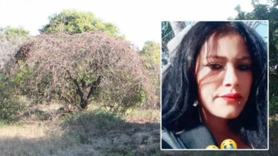 Son kurban Gamze! Ormana götürülüp öldürüldü