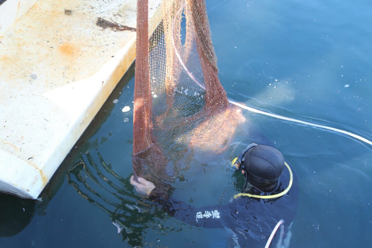 Bursa sahilleri ‘görünmez tuzaklardan’ arındı