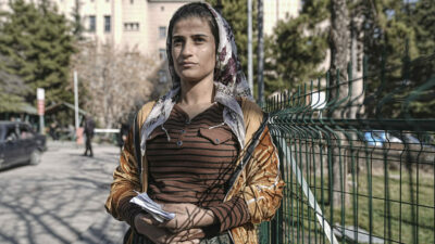 Hamile kadına sahipsiz köpekler saldırdı