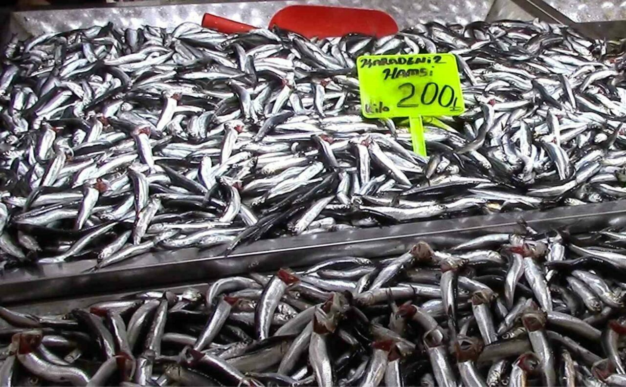 Bursa’da tezgahlar şenlendi! Kilosu 150 liraya kadar düştü Bursa’da tezgahlar şenlendi! Kilosu 150 liraya kadar düştü