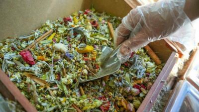 Bursa’da talebi artan ürün! Kilosu 500 lira…