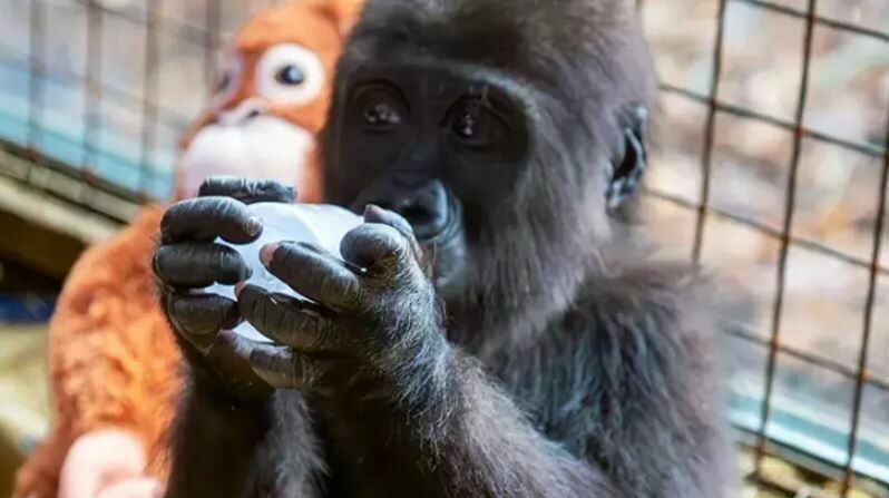 Havalimanında bulunmuştu! İsmi belli oldu Havalimanında bulunmuştu! İsmi belli oldu