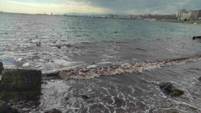 Marmara Denizi kızıla boyandı! Görenler hayrete düştü