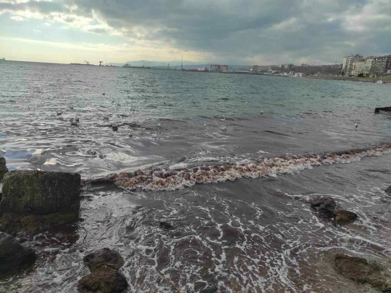 Marmara Denizi kızıla boyandı! Görenler hayrete düştü Marmara Denizi kızıla boyandı! Görenler hayrete düştü