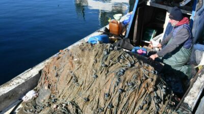 Marmara Denizi’ndeki tehlikenin fotoğrafı
