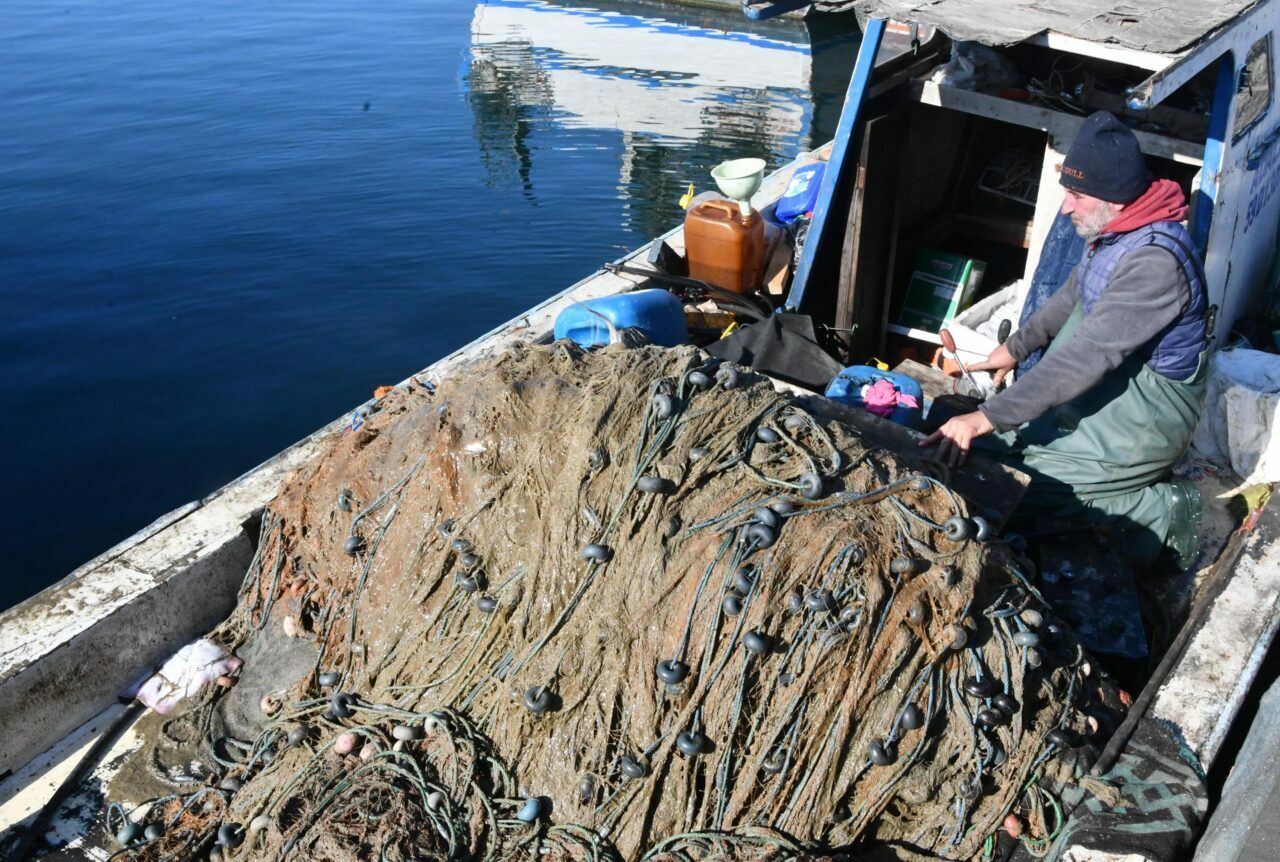 Marmara Denizi’ndeki tehlikenin fotoğrafı Marmara Denizi’ndeki tehlikenin fotoğrafı