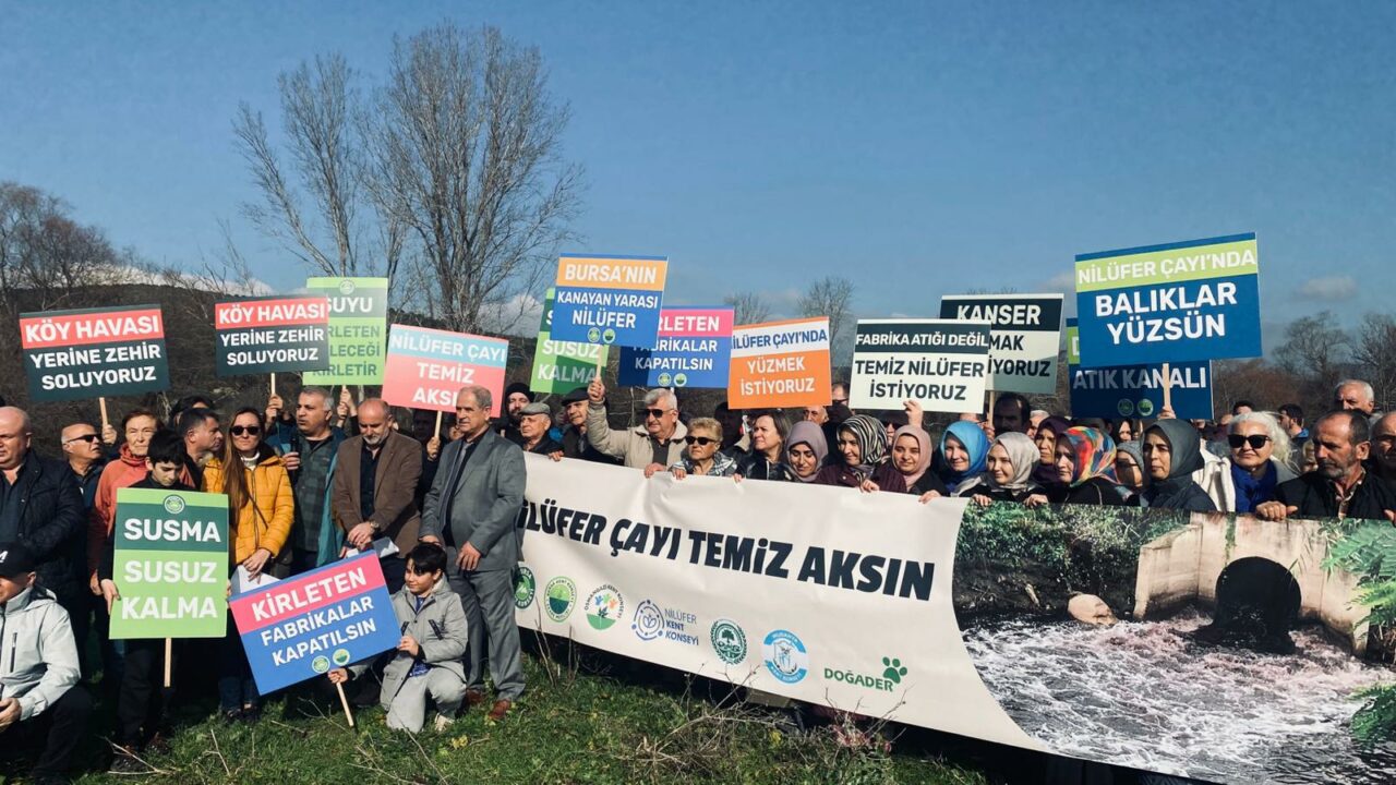 Bursa’da STK’lar haykırdı: ‘Nilüfer Çayı için Acil Eylem Planı şart’