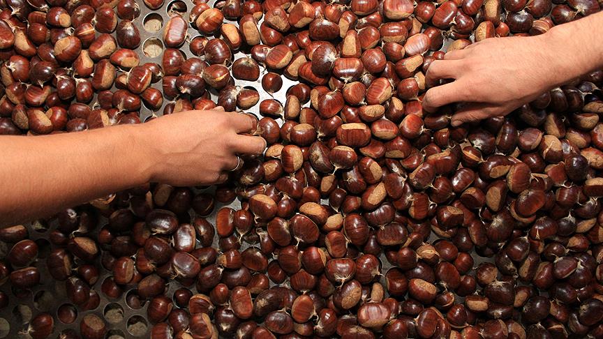 Bursa’nın en ünlü markasıydı! Zirveyi bakın hangi şehirlere kaptırdı