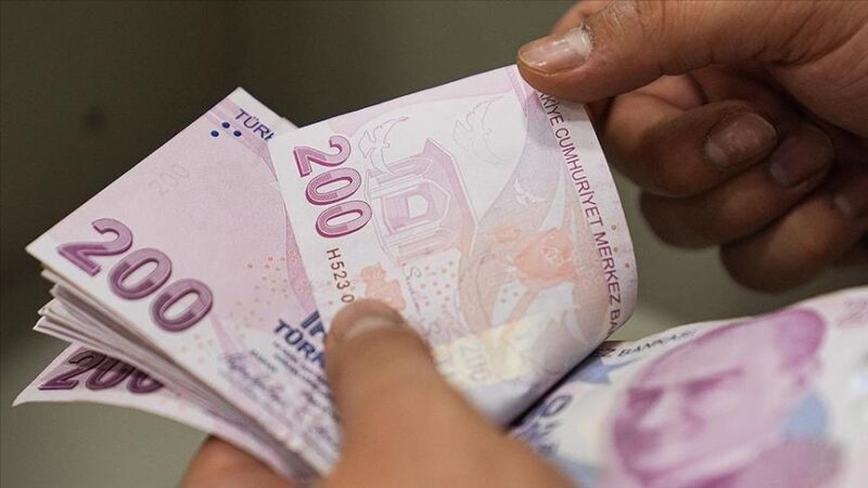 Reel efektif döviz kuru endeksi, Aralık 2024'te TÜFE bazında 0,10