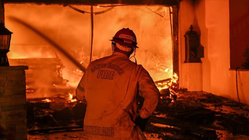 ABD'nin California eyaletinin Los Angeles kentinde şiddetli rüzgarın etkisiyle yayılan
