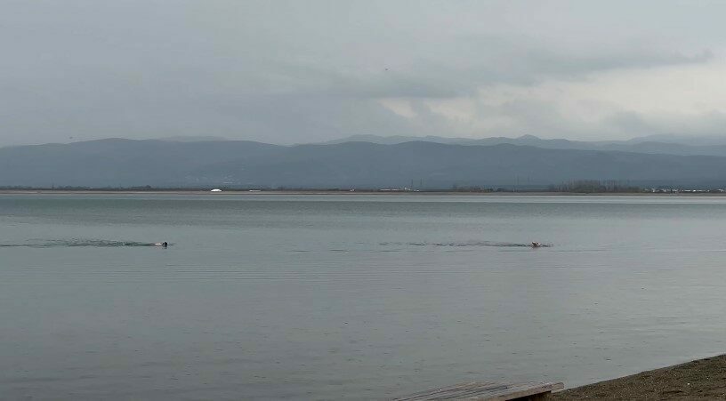 Yeni yılın ilk sabahında Bursa’da ilginç görüntü! Görenler şaştı kaldı