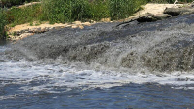 Bursa’da önemli proje! Zehir taşıyordu, harekete geçildi