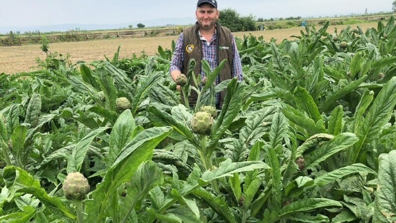 Olay Gazetesi Yazarı Ahmet Emin Yılmaz, bir üreticinin Bursa'nın marka