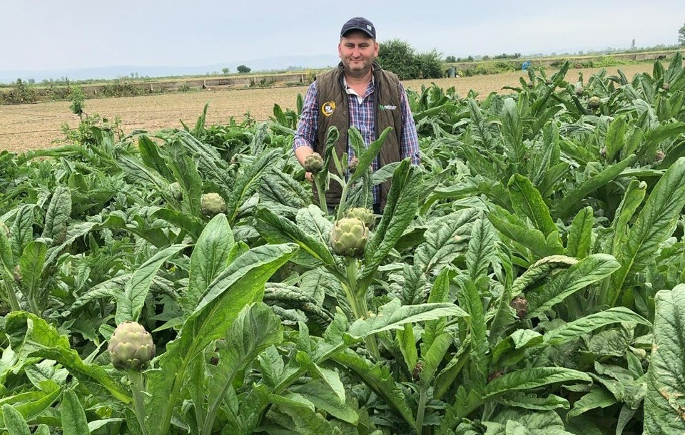 Bursa’da binalar tarlaları yutunca marka ürünü bakın nerede yetiştirmeye başladı? Bursa’da binalar tarlaları yutunca marka ürünü bakın nerede yetiştirmeye başladı?