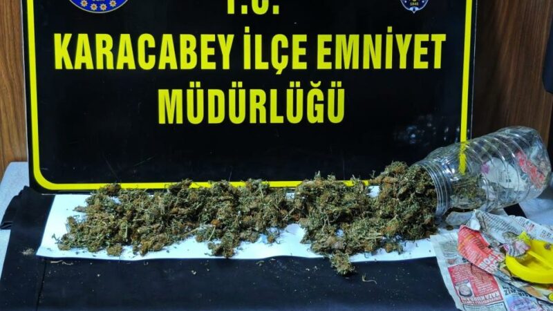 Bursa’da kuş kümesinde bakın ne bulundu? Bursa’nın Karacabey ilçesinde, polis ekiplerince 500 grama yakın esrar ele