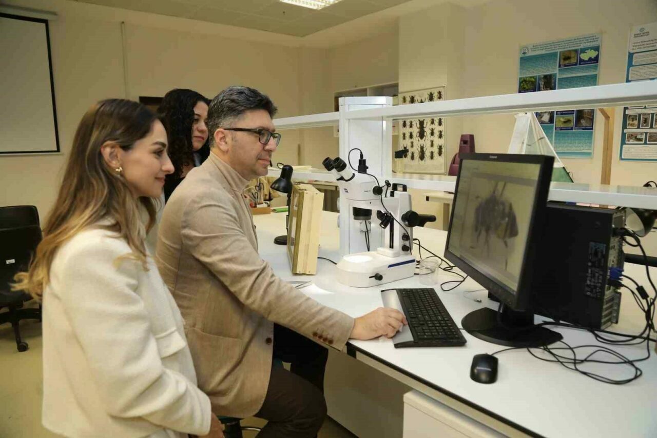 BTÜ Uludağ ormanlarındaki arıların tür çeşitliliğini belirleyecek