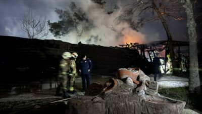Bursa’da tarihi kalede yangın