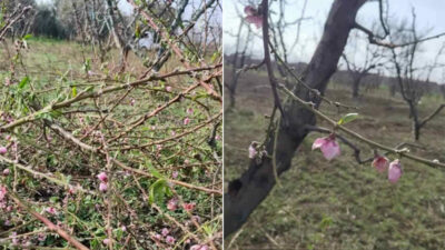 Bursa’da endişelendiren olay