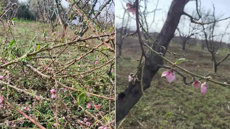 Bursa’da endişelendiren olay Bursa’da endişelendiren olay