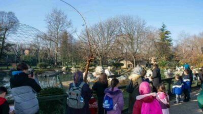 Bursa’da genç sporcular hayvanat bahçesine hayran kaldı