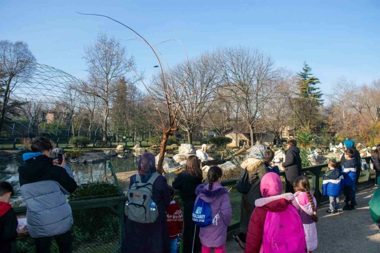 Bursa’da genç sporcular hayvanat bahçesine hayran kaldı