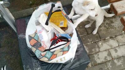 Bursa’da ”sahiplenin” notuyla yavru köpeği durağa bıraktılar