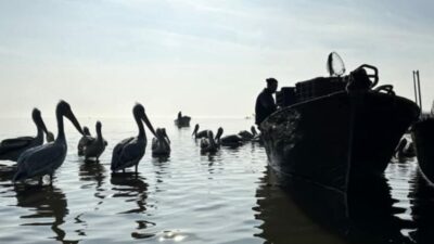 Dünyaca ünlü The Times’da haftanın fotoğrafı Bursalı isimden