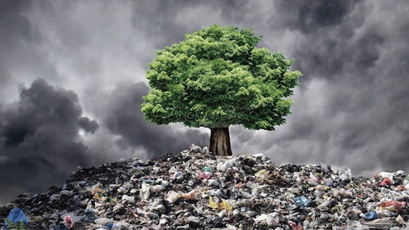 Bursa’da Kadınlar Günü’ne özel ilginç kampanya!