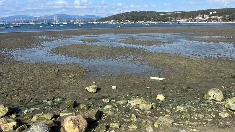 Deniz suyunda çekilme devam ediyor! Depremlerle ilgisi var mı?