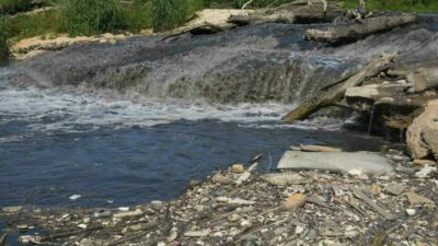 Bursa’daki Nilüfer Çayı için flaş açıklama: ‘Yaşam için elverişsiz hale geldi’
