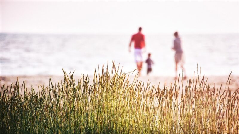 Türkiye'de mutluluğun yolunun aile ve sağlıktan geçtiğini düşünenlerin oranı 2020-2024